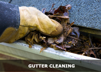 Gutter Cleaning Services