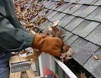 Gutter Cleaning Services