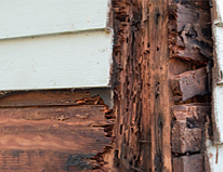 Wood Rot Removal