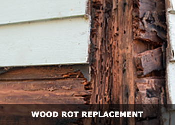 Wood Rot Replacement